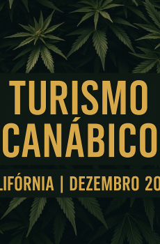 Turismo Canábico – Califórnia | Dezembro 2025